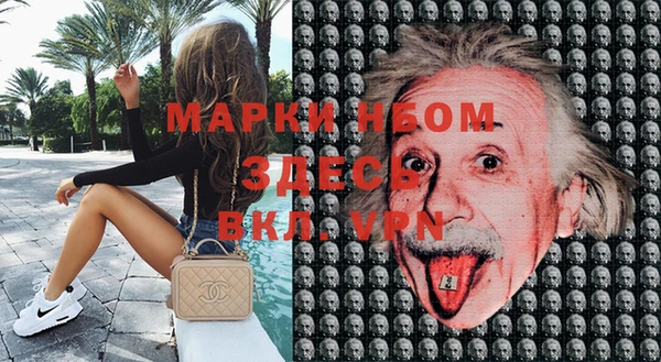 гидра Магас