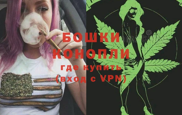 a pvp Шенкурск