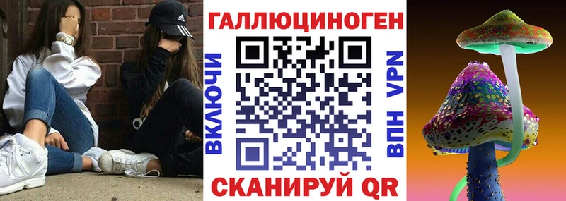 дарк нет какой сайт  Дербент  Псилоцибиновые грибы Cubensis 